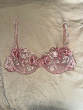 Hello LA Girl Sheer Rose Embroidered Underwire Bra - 36C